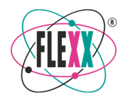 Flexx Chemnitz