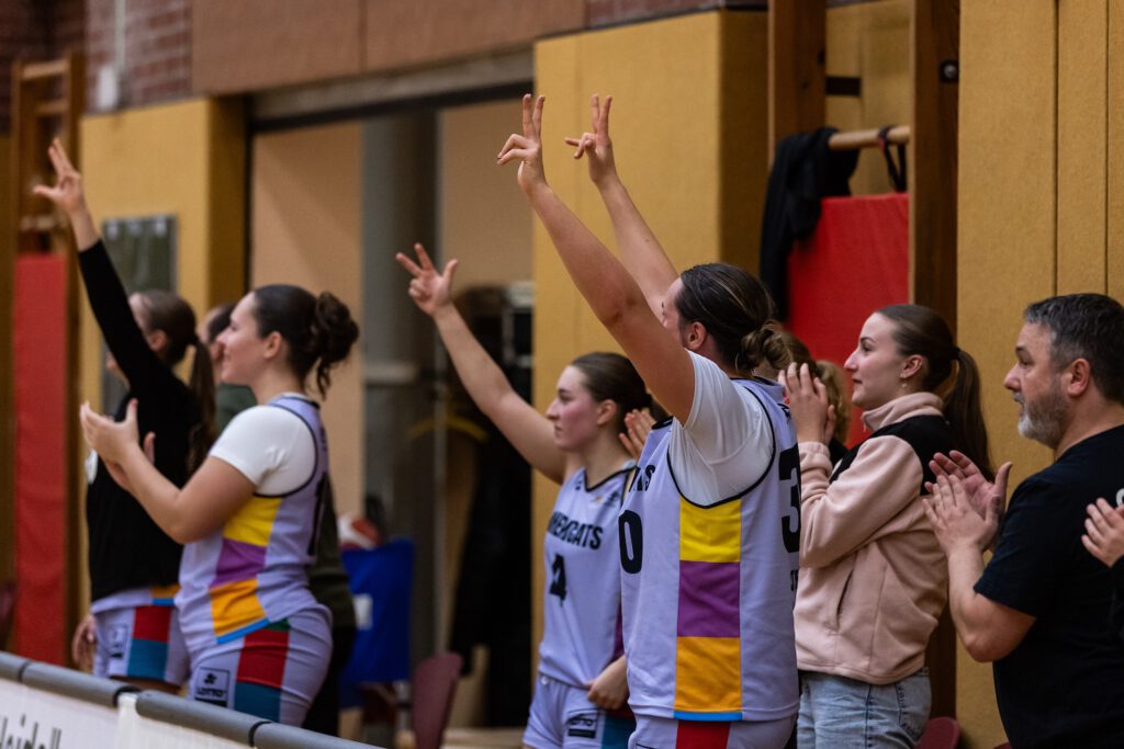 Katzen wollen nachlegen